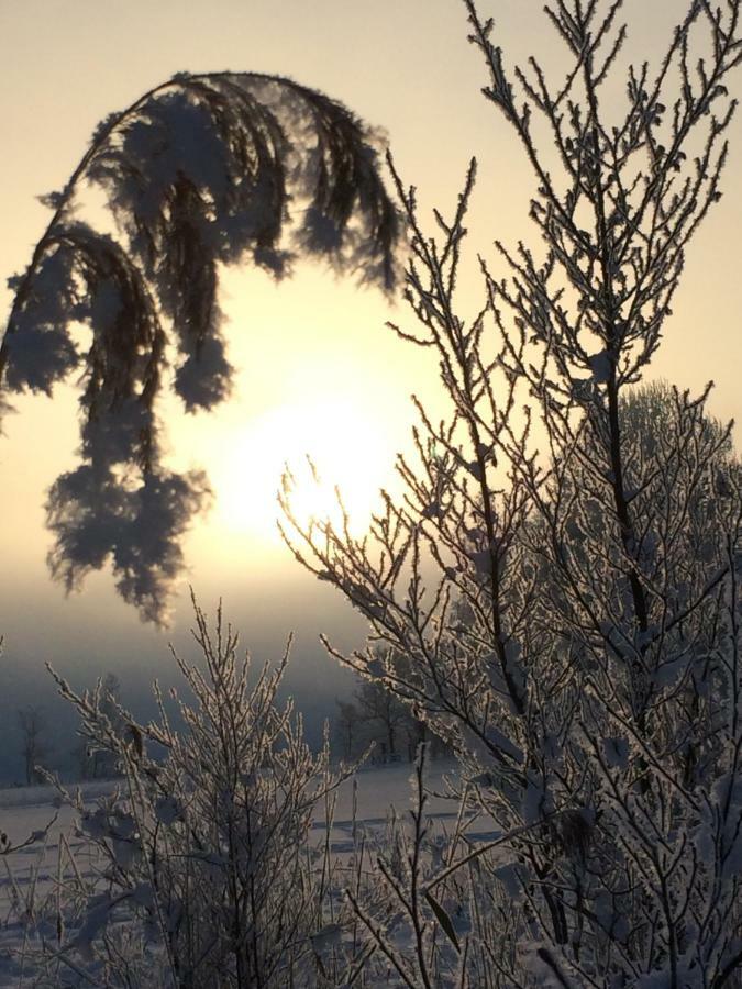 Zur Lieben Sonne Filzmoos Exterior foto