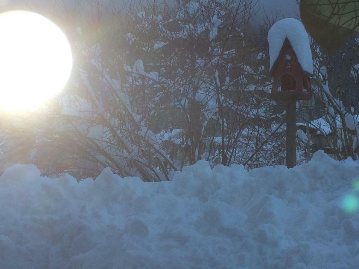 Zur Lieben Sonne Filzmoos Exterior foto